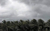 Storms kill 32, injure over 80 in three Bihar districts
